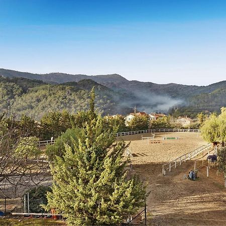 Messalina Agriturismo La Scuderia Molino Nuovo  Exteriér fotografie